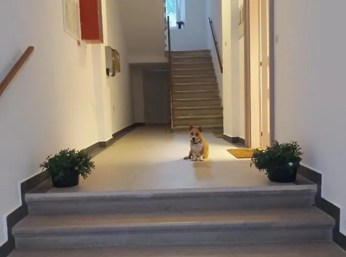 Draguc Apartman Póla